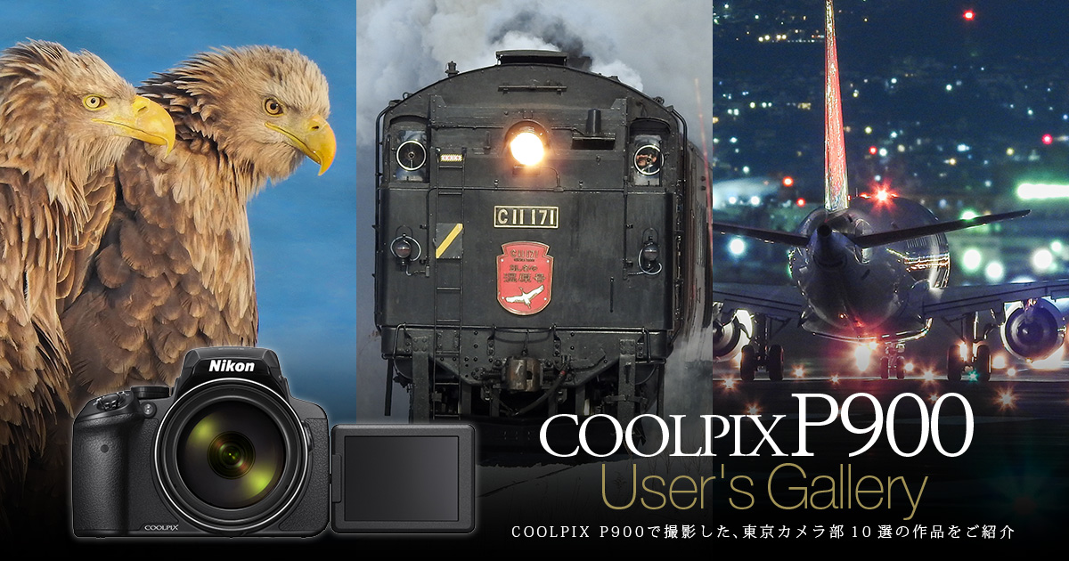 2000mm相当、光学83倍の超望遠ズームで未体験の領域へ。COOLPIX P900 ...