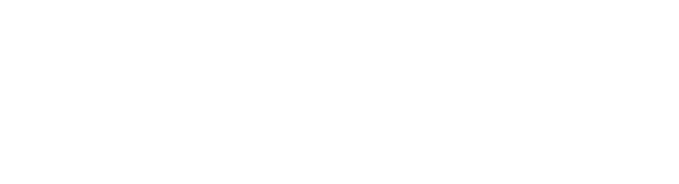 動物