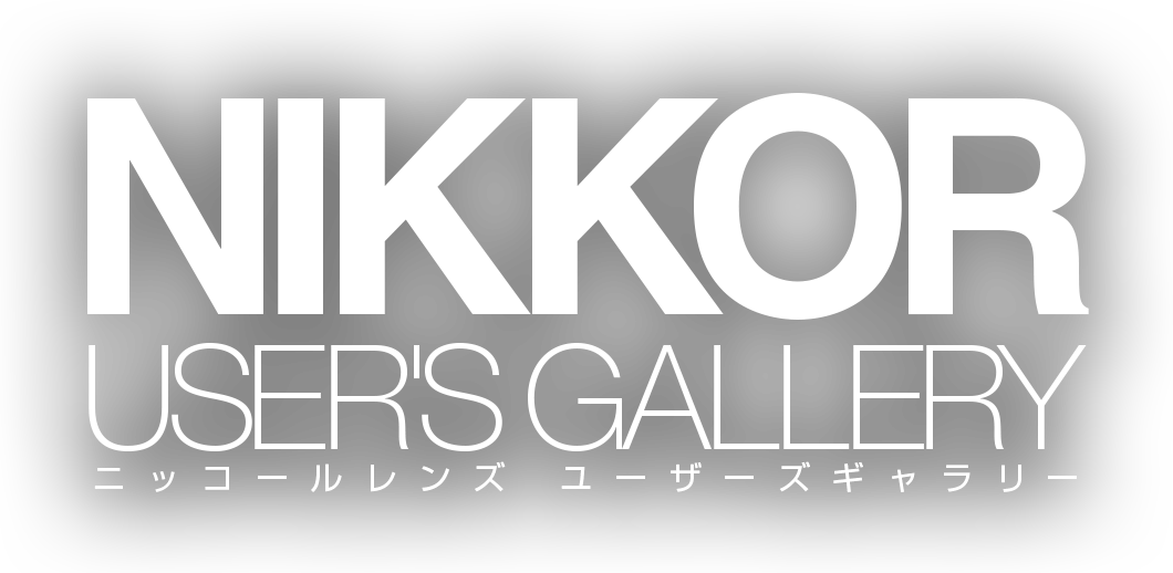 NIKKOR USER'S GALLERY - ニッコールレンズユーザーズギャラリー