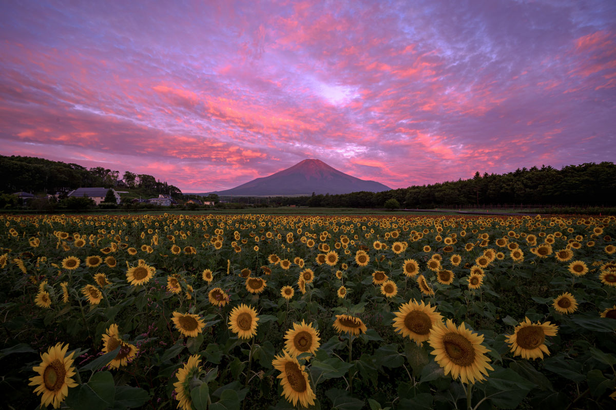 NIKKOR Z 14-30mm f/4 S｜ニッコールレンズユーザーズギャラリー