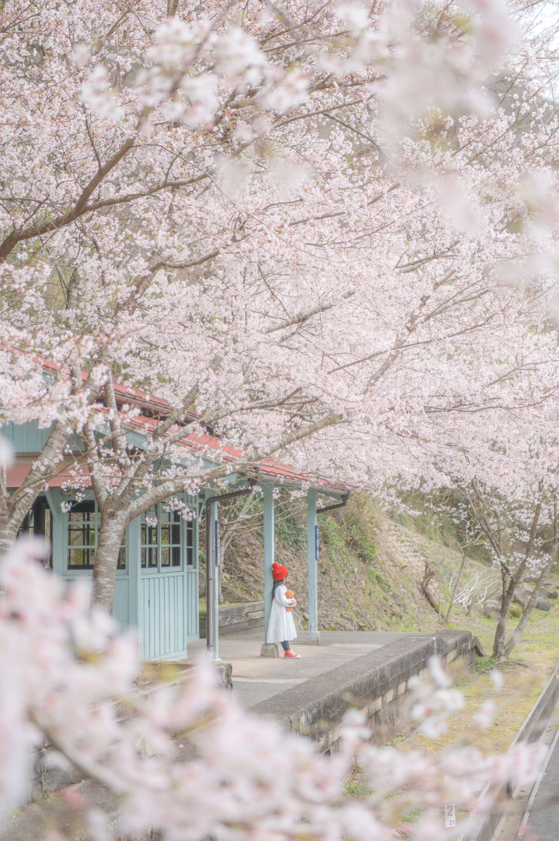 スナップ｜ニッコールレンズユーザーズギャラリー｜NIKKOR×東京カメラ部