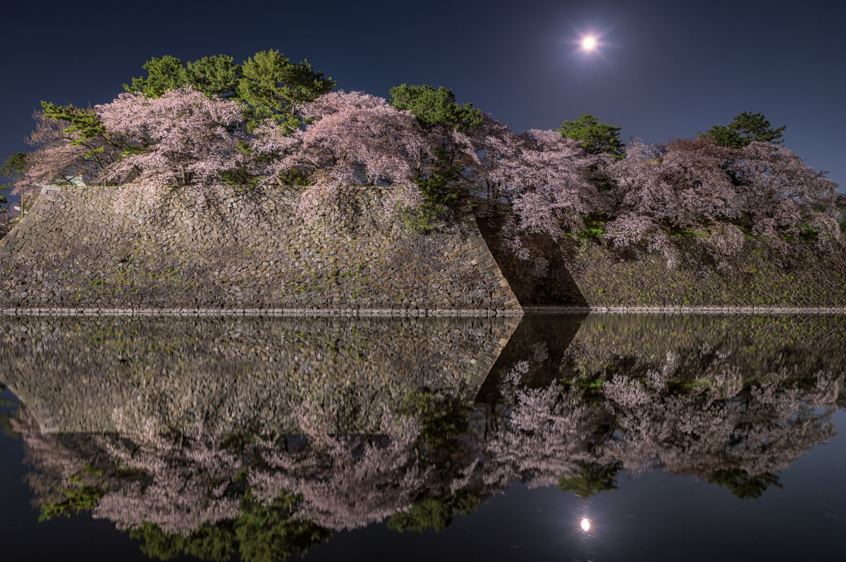 開放F値2530未満AF-S NIKKOR 14-24mm f/2.8G ED