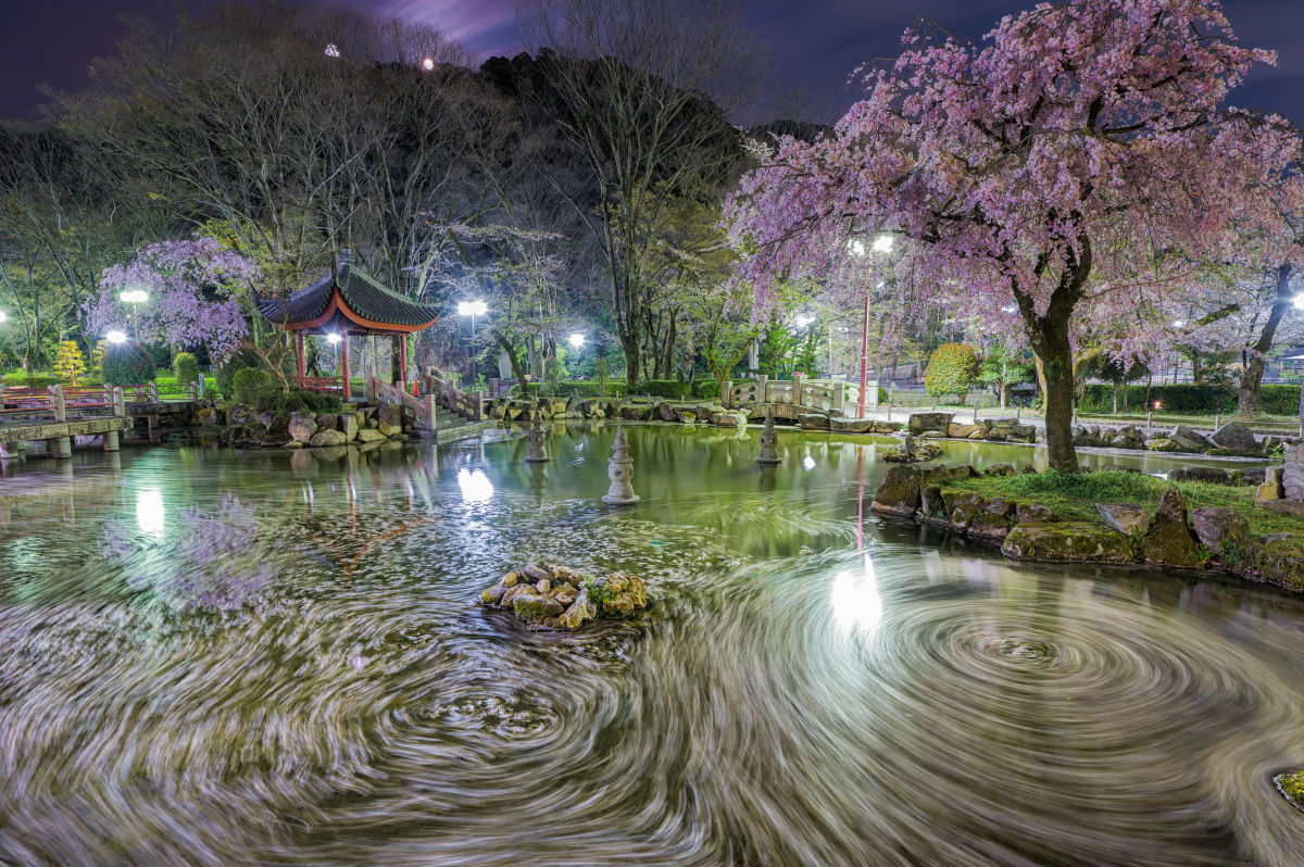 レンズ(ズーム)Nikon  AF-S NIKKOR 14-24mm F2.8 G ED