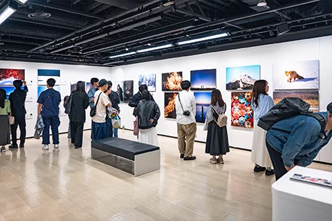 ギャラリー展示の様子