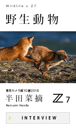 野生動物×Z 7｜半田菜摘
